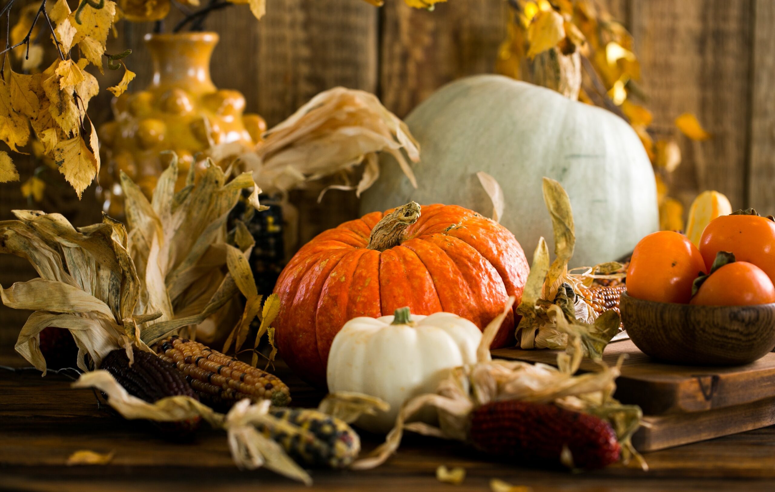 thanksgiving